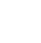 CHIP Training & Consulting Official White Logo