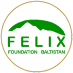 IFES Electoral Systems