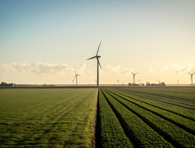 Wind energy installation and climate adaptation field project in rural terrain